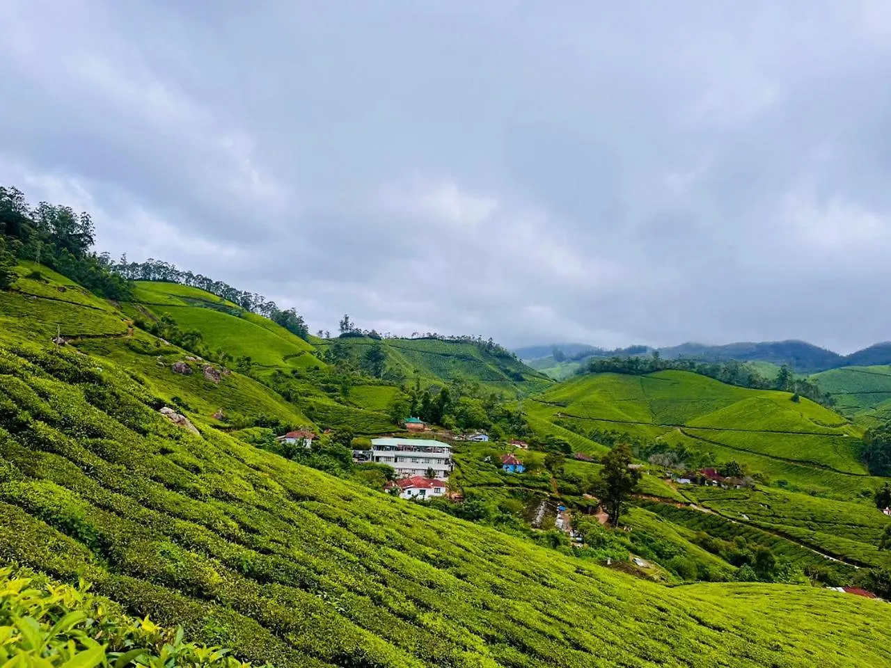 Homestay 7 Malai Residency Apartment Munnar India
